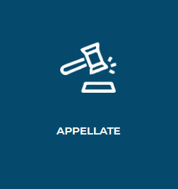 Milwaukee Appellate Court Attorneys